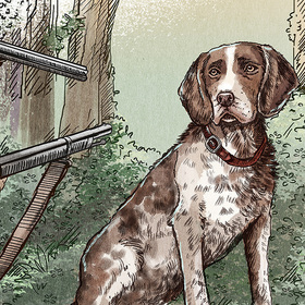 Иллюстрации для книги рассказов В.Заренкова