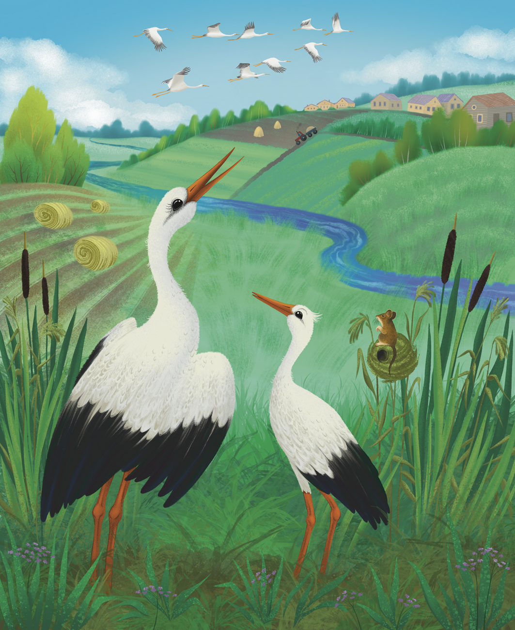 Сказочки про пернатых