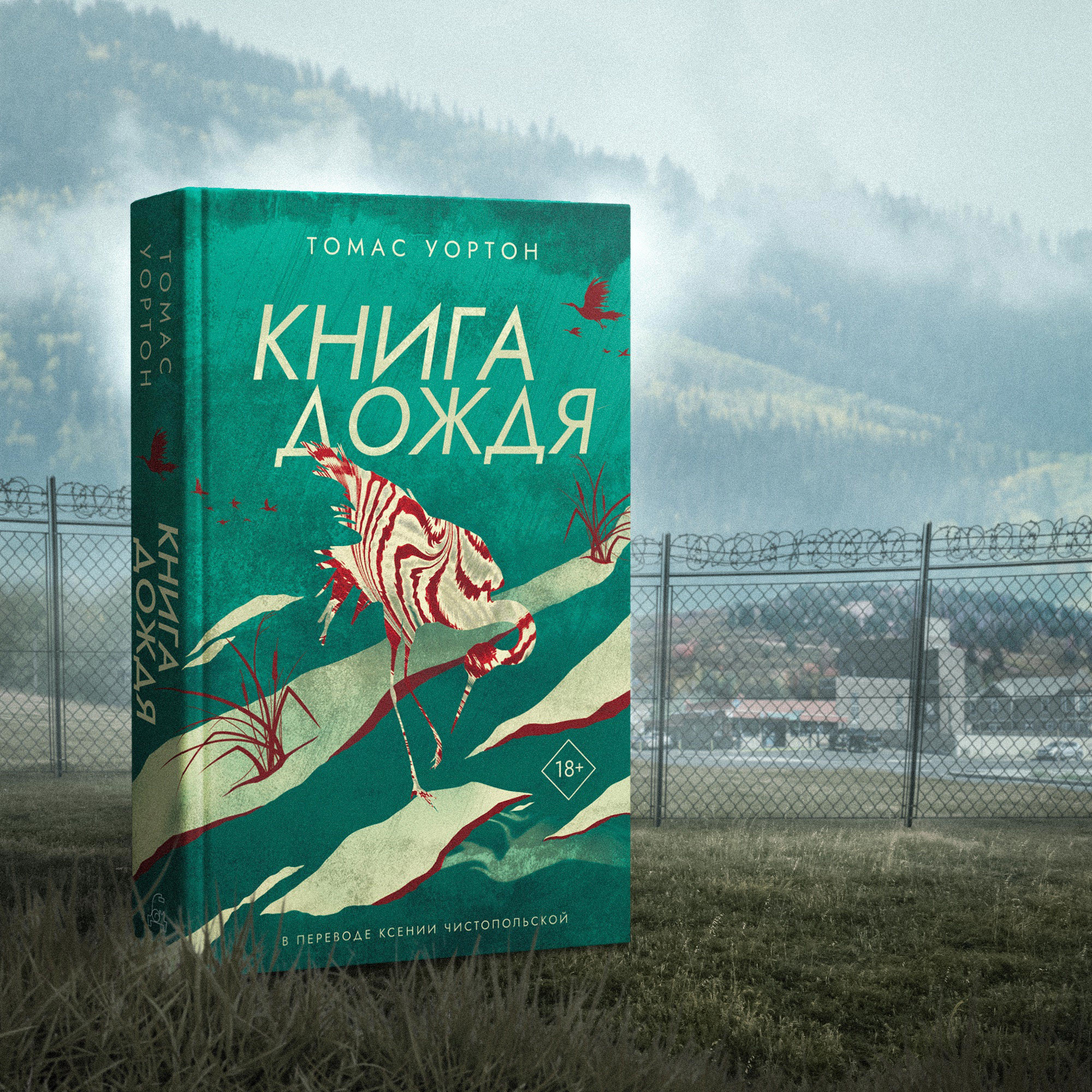 Художественное оформление книги — «Книга дождя»