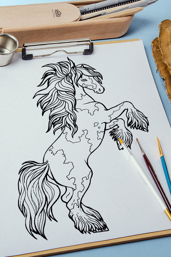 Набор иллюстраций "Лошади"