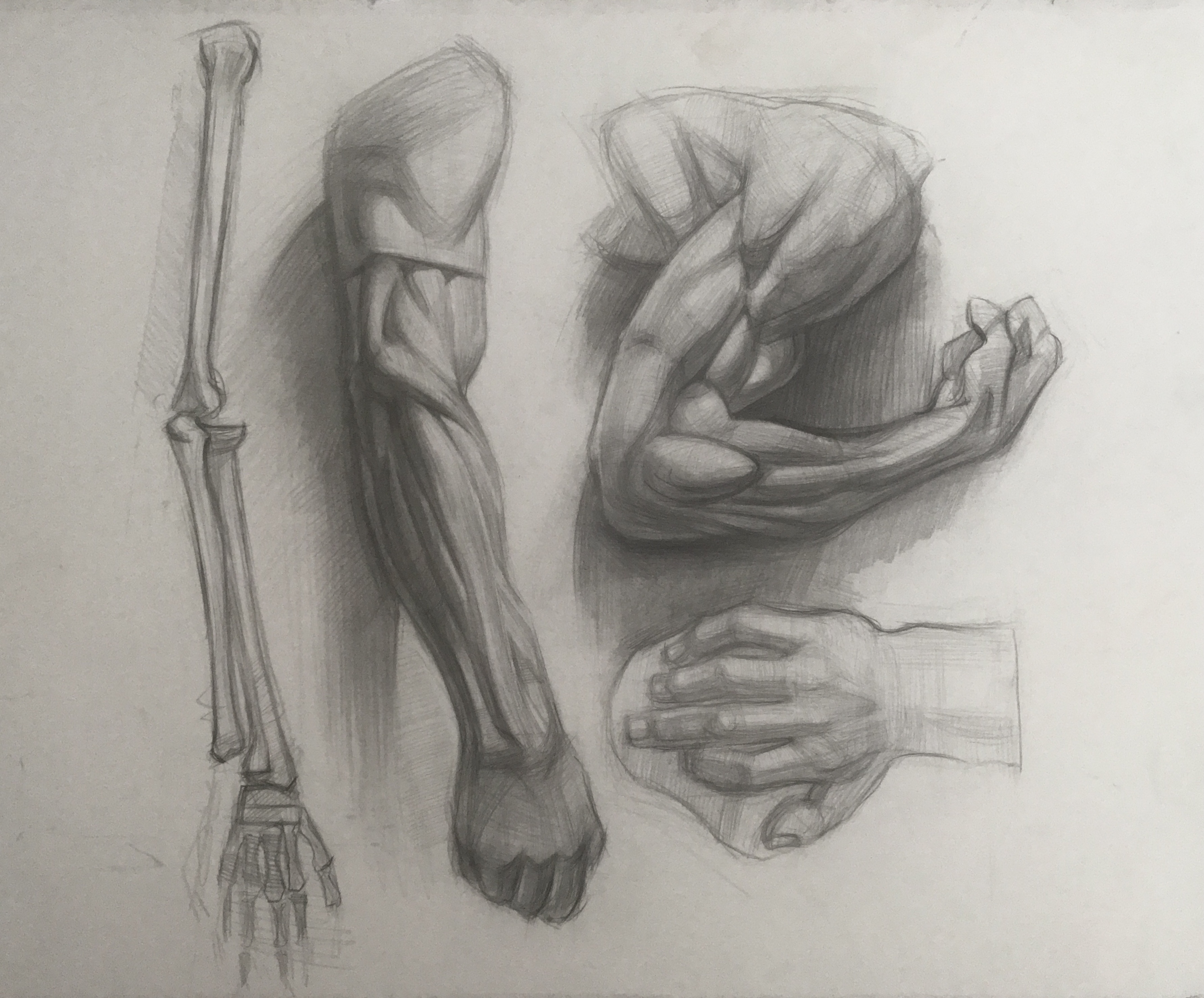 Академический рисунок. Гипс.