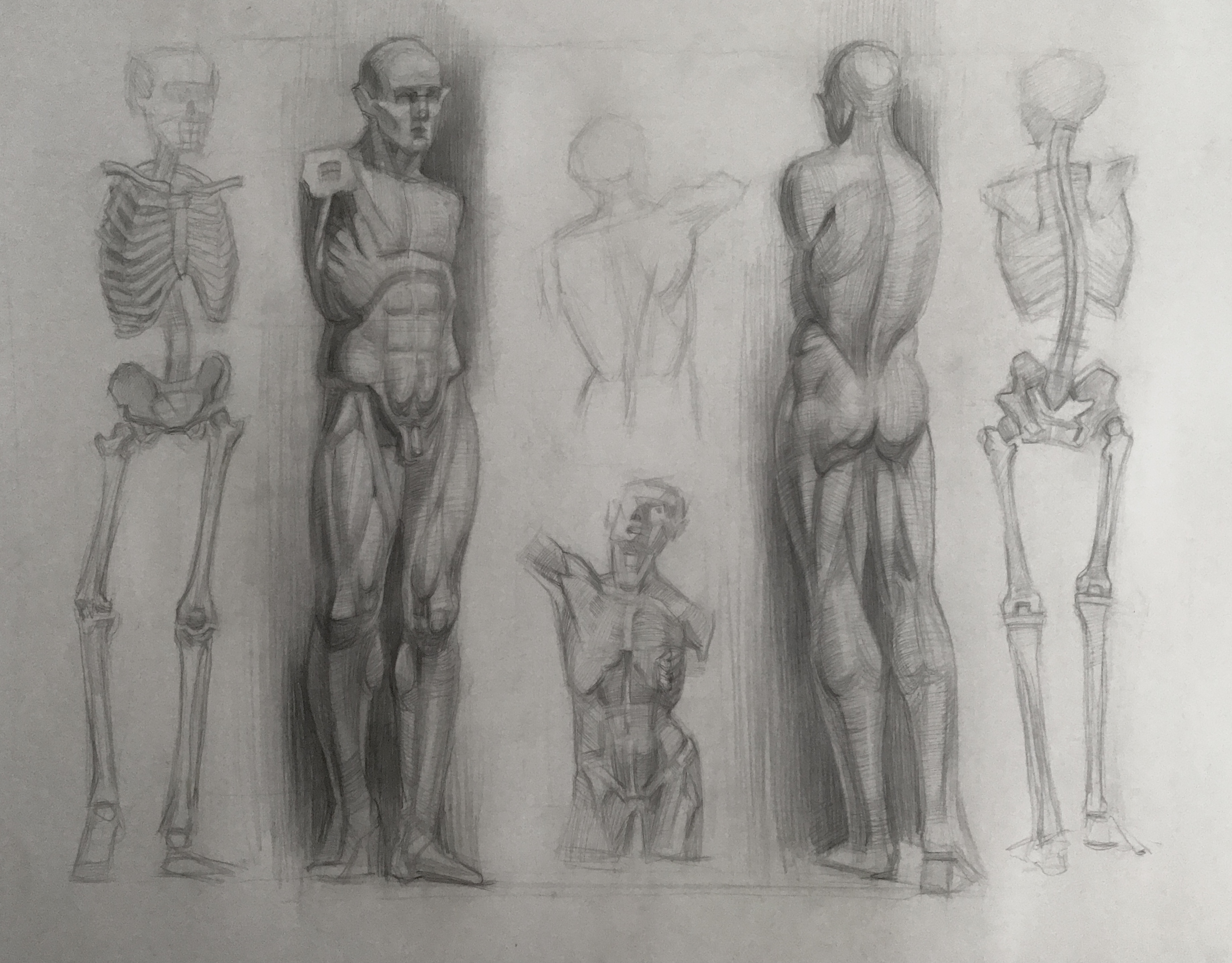 Академический рисунок. Гипс.