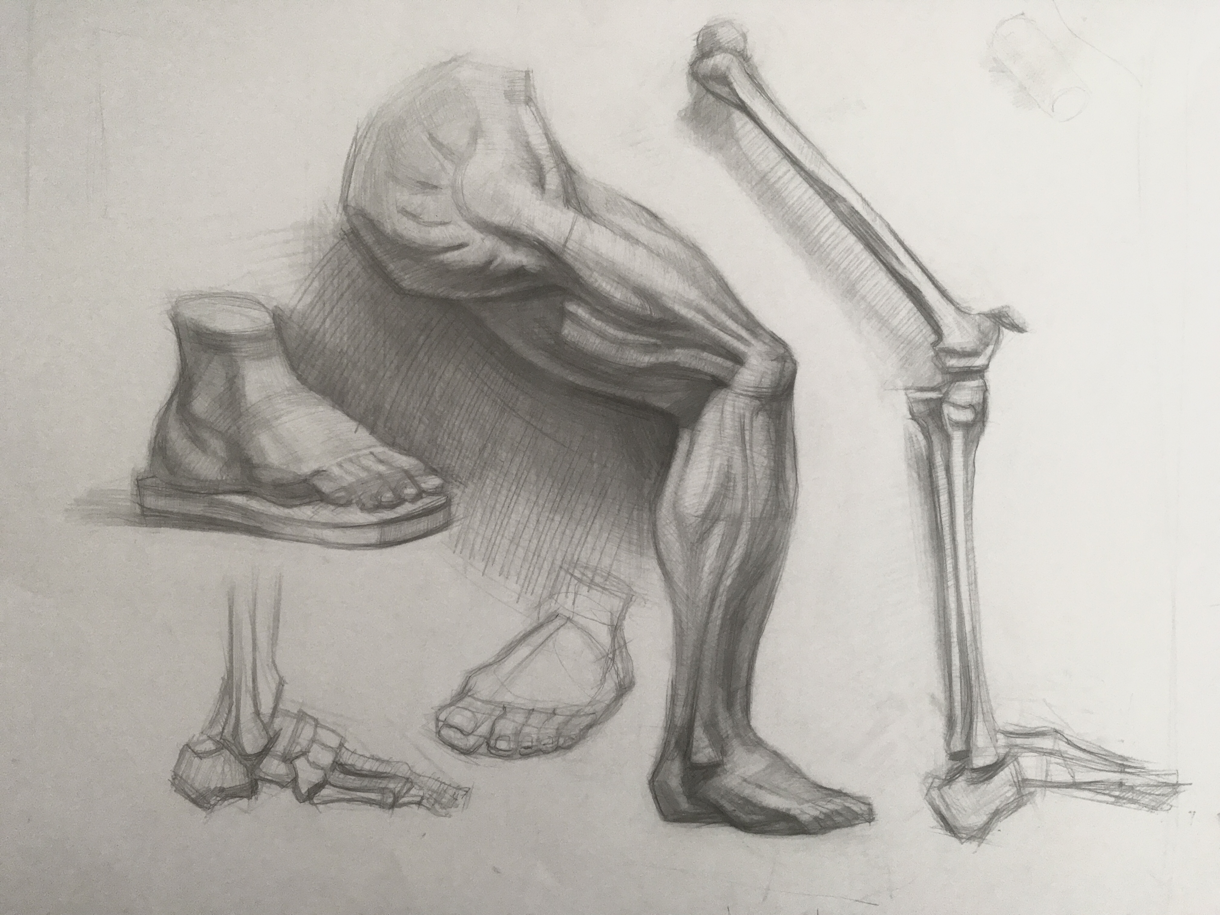 Академический рисунок. Гипс.