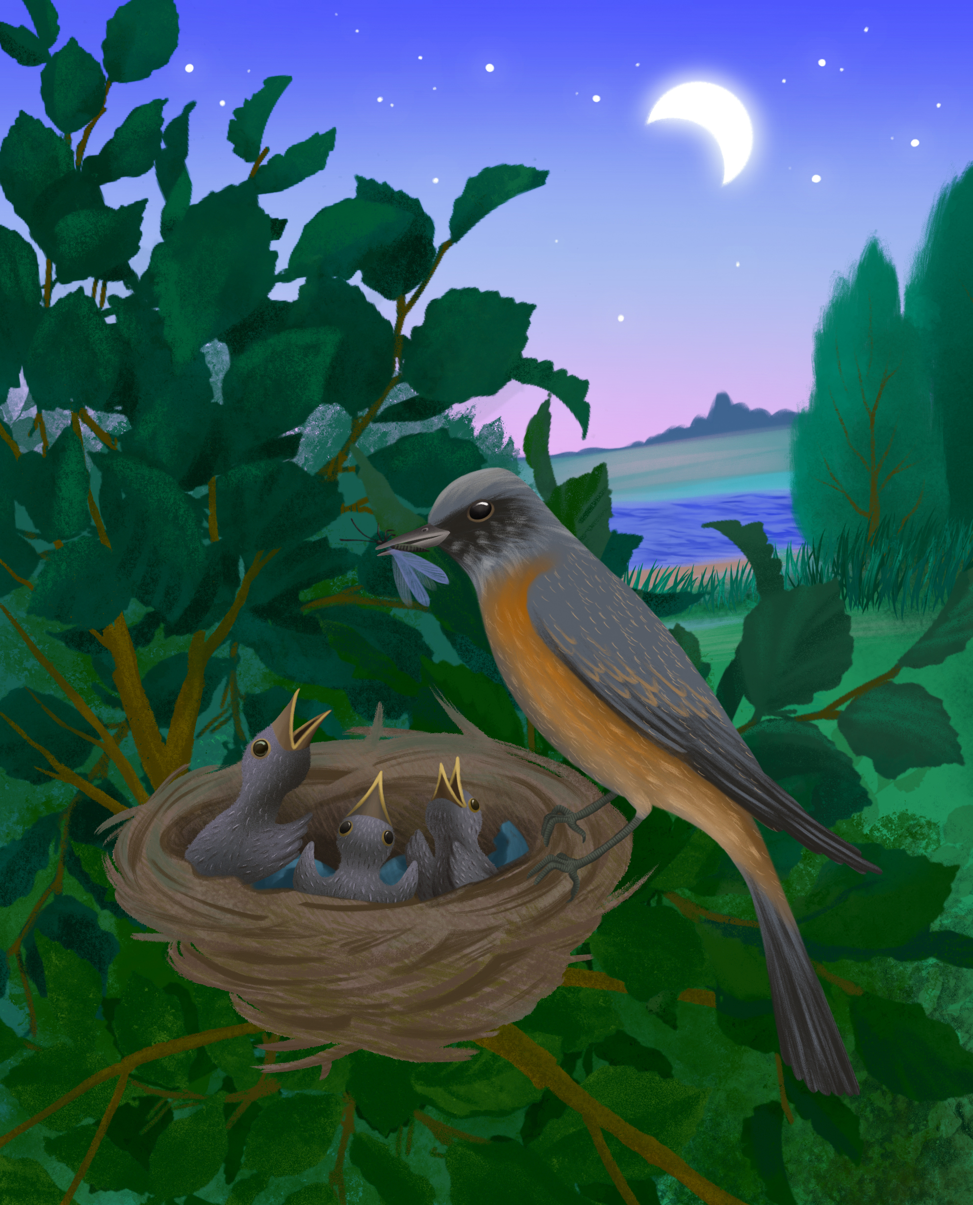 Удивительная находка