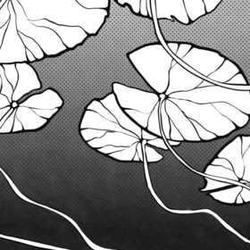 Графика для мерча