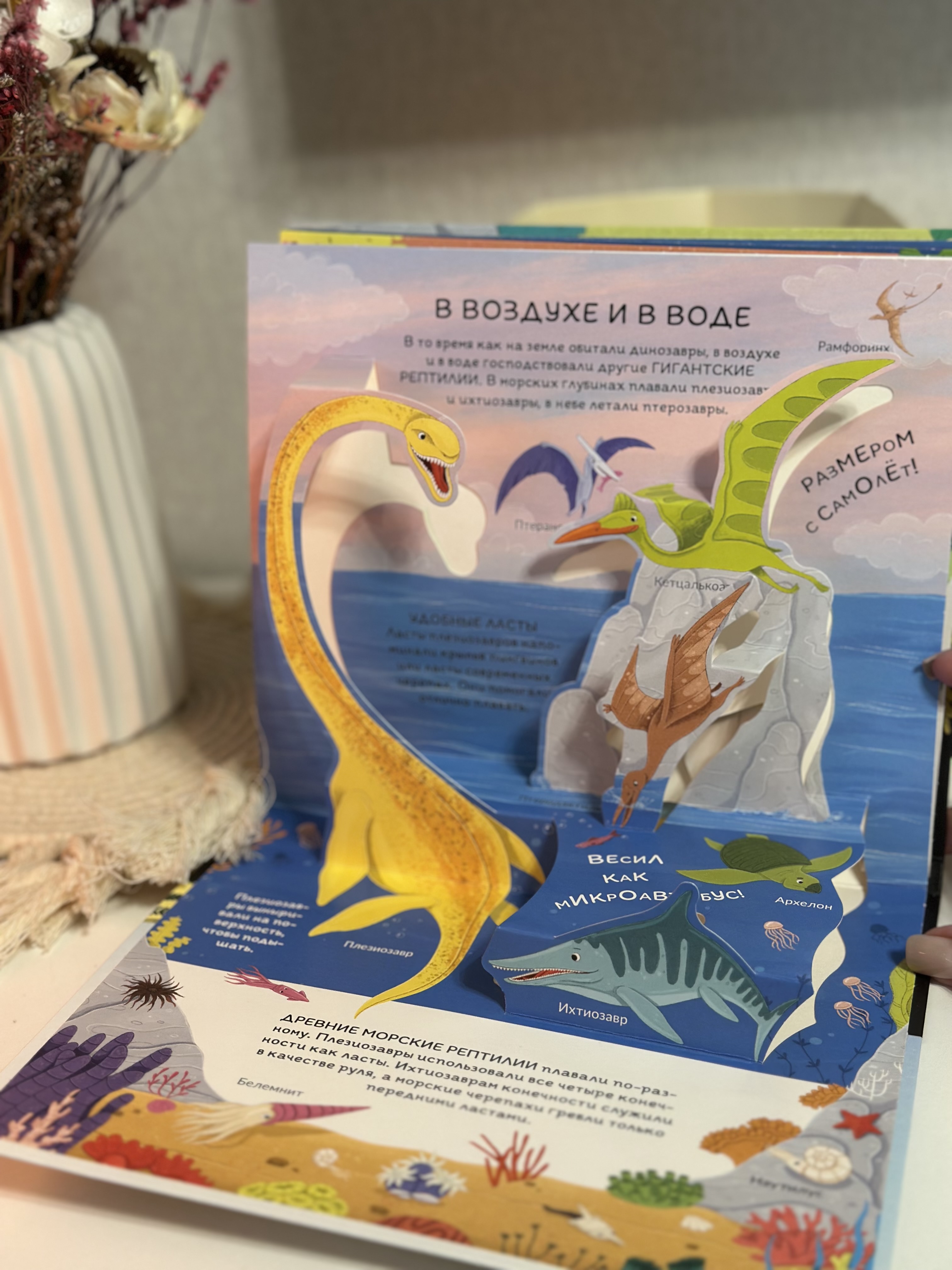 POP-UP Динозавры изд Malamalama