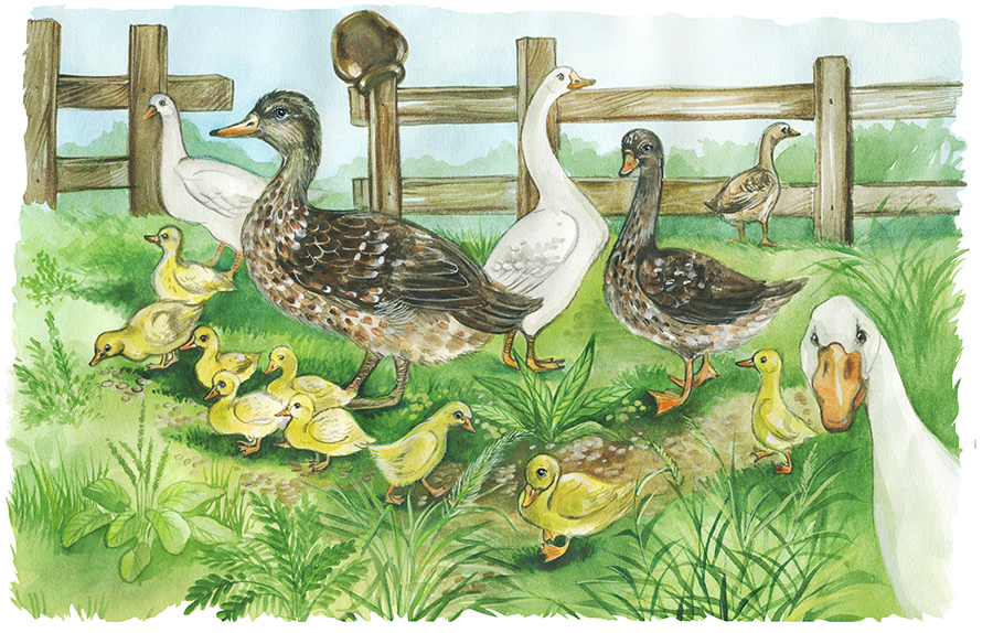 Книга рассказов про животных для дошкольников