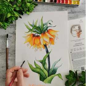 Цветы акварелью. 