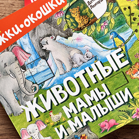 Мемори книжки-окошки