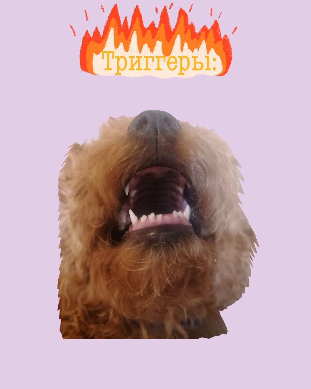 Инструкция для догситтера