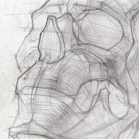 Зарисовки черепной коробки