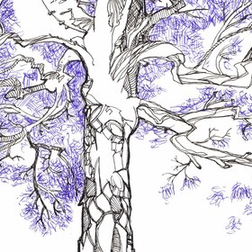 Зарисовки деревьев шариковой ручкой