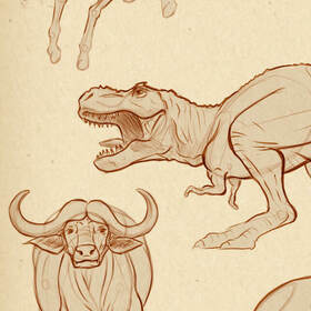 Скетчи человека и животных