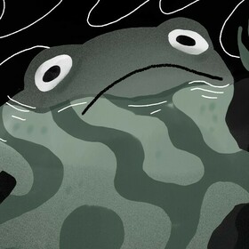 Who let the toads out?