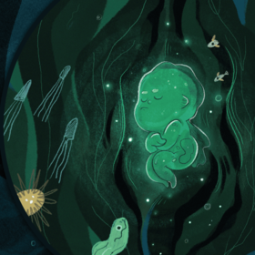 Kid of The Sea & Black Serpent