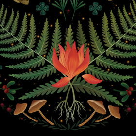 Ночь на Ивана Купалу