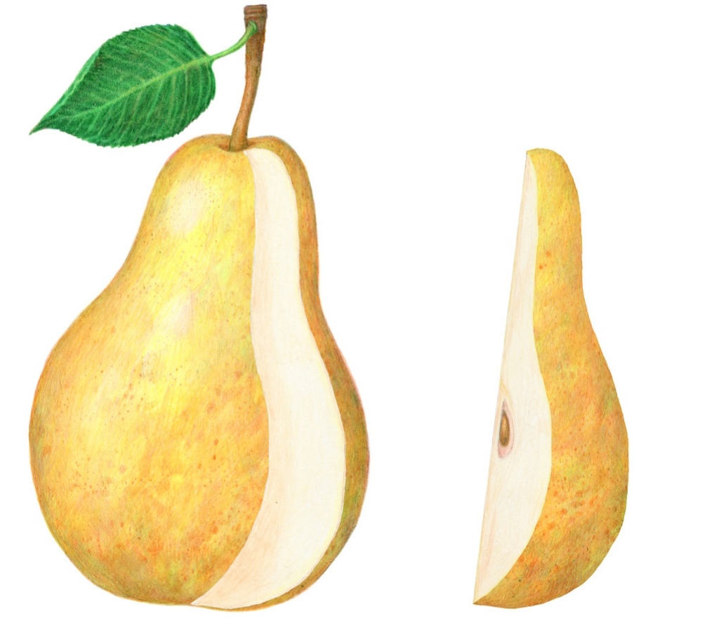 Из серии «Фрукты». 2025: часть 1.