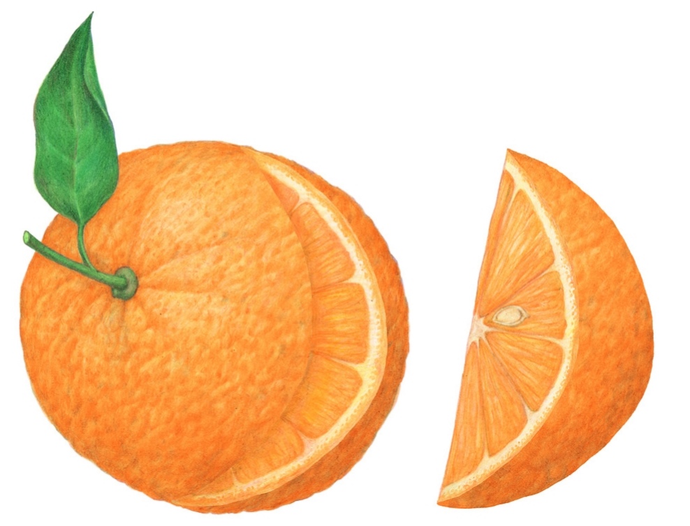 Из серии «Фрукты». 2025: часть 1.