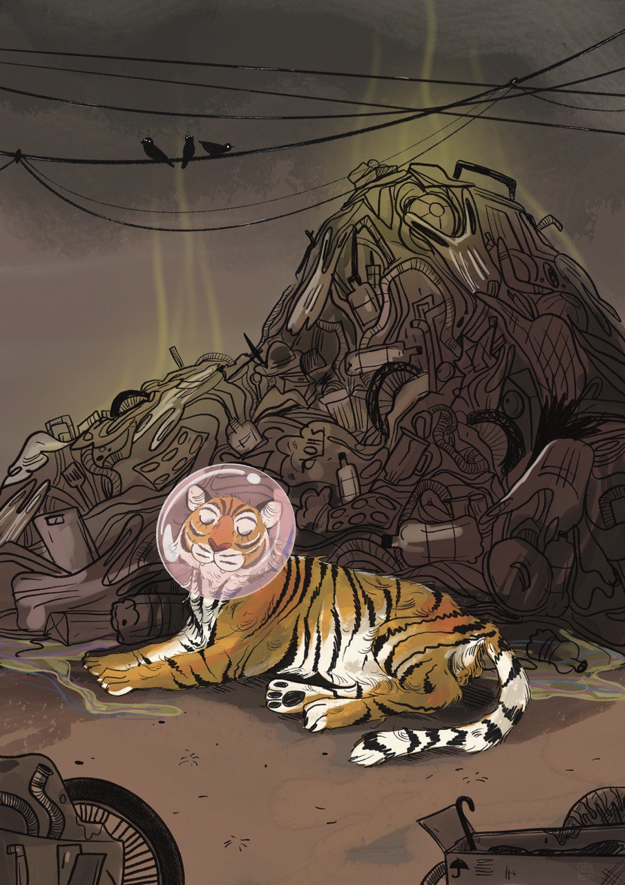 Where do animals live?