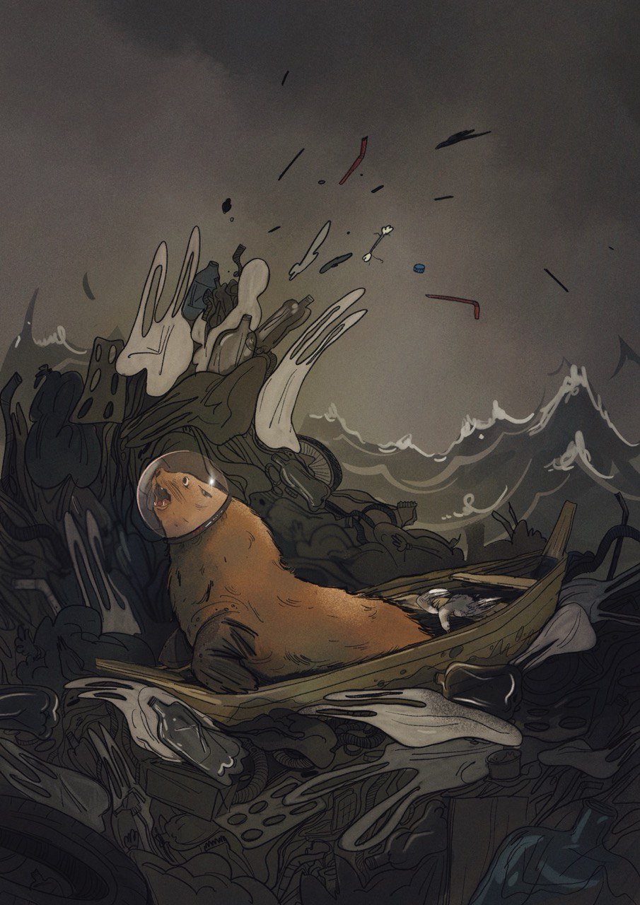 Where do animals live?