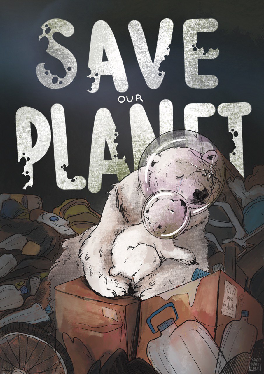 Where do animals live?