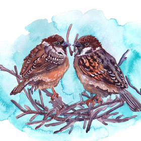 Иллюстрации для азбуки