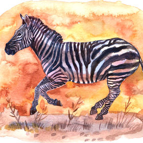 Иллюстрации для азбуки