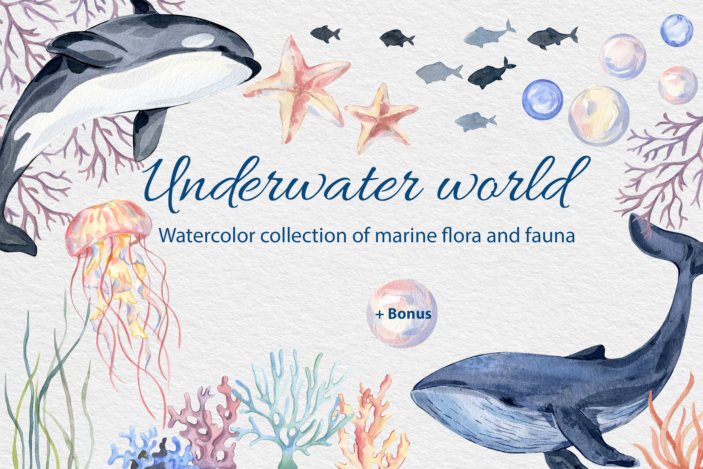 Морская коллекция