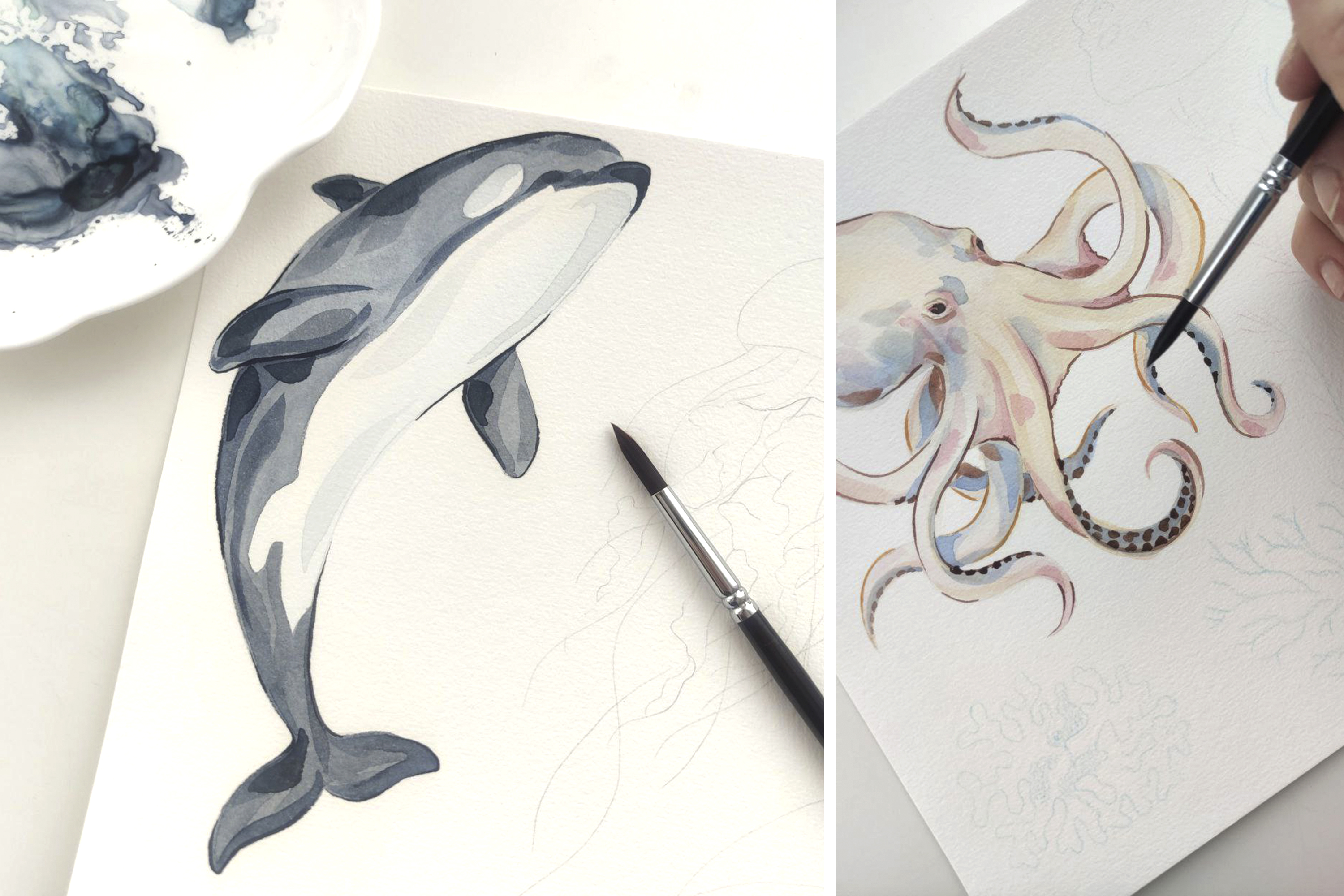 Морская коллекция