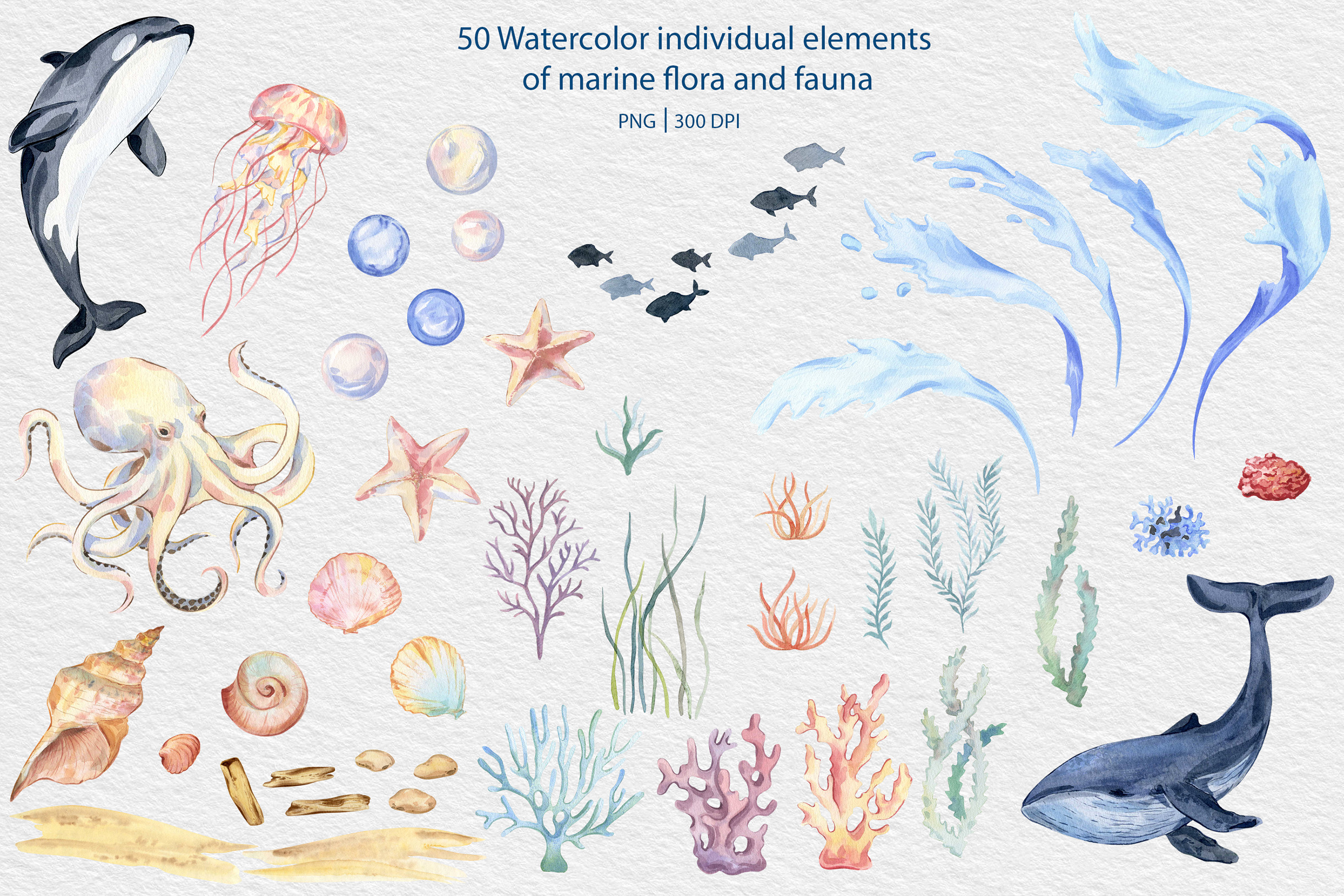 Морская коллекция