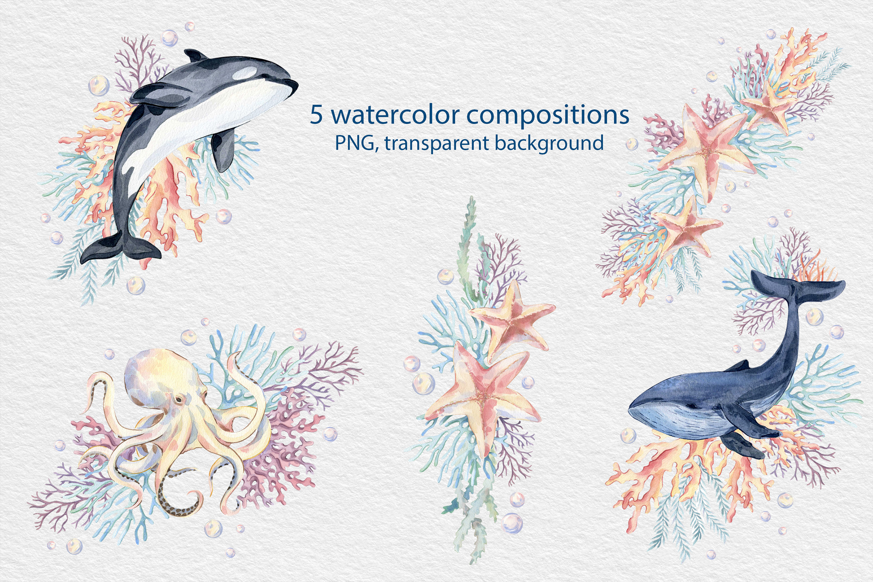 Морская коллекция