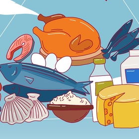 Средиземноморская пирамида питания