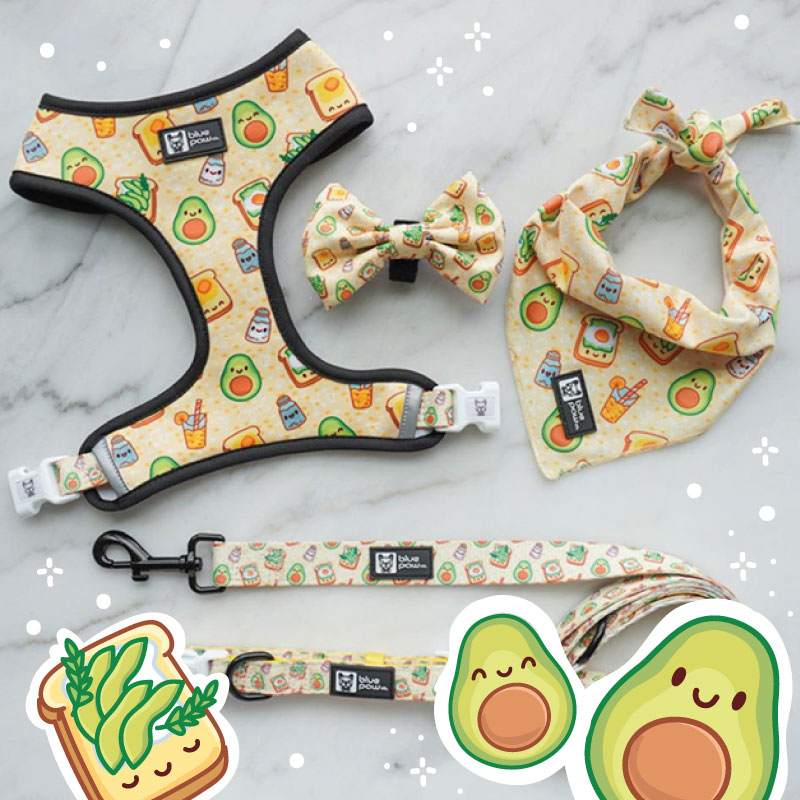 Паттерн для одежды для собачек