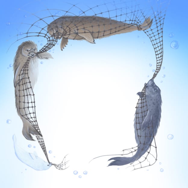 Книжный Проект Белëк