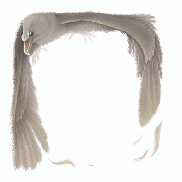 Книжный Проект Белëк