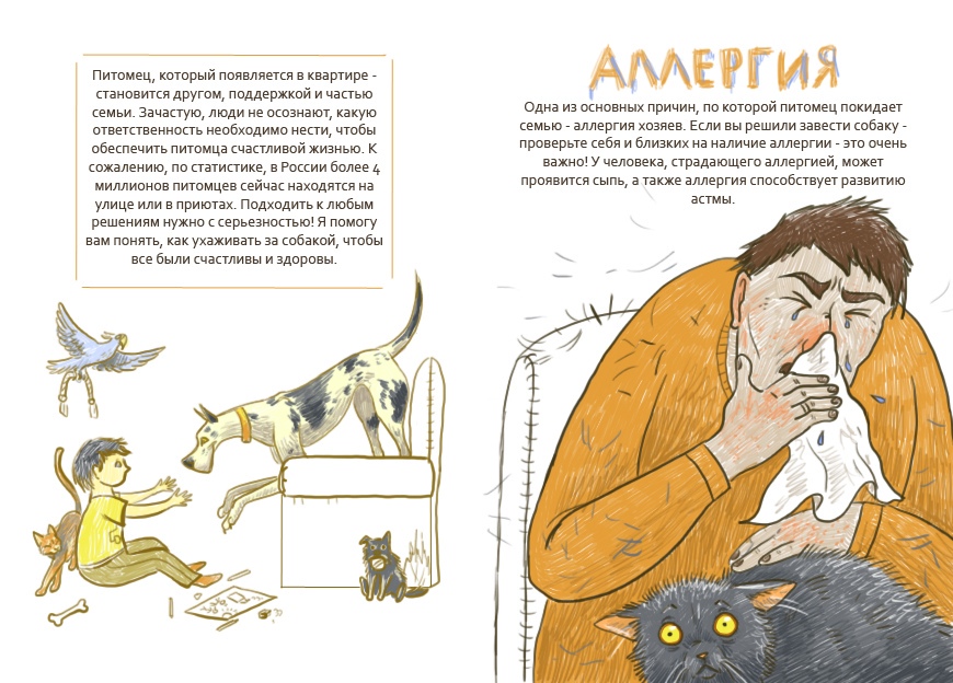 Авторский проект "как не надо заводить собаку"