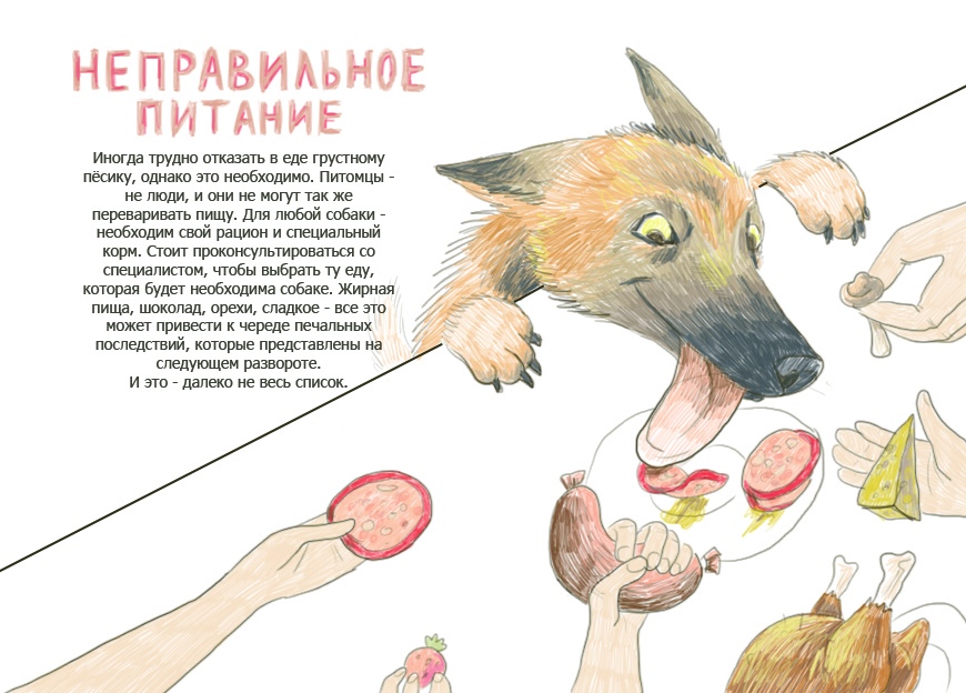 Авторский проект "как не надо заводить собаку"