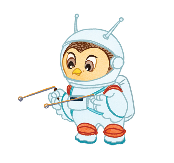 Факты о Марсе