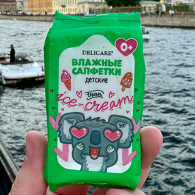 Милый персонаж Коала для упаковки влажных салфеток Delicare