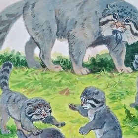 Кое-какие иллюстрации к книге о диких котах