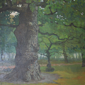 Дуб в Коломенском