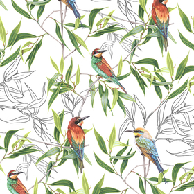 щурки на эвкалипте