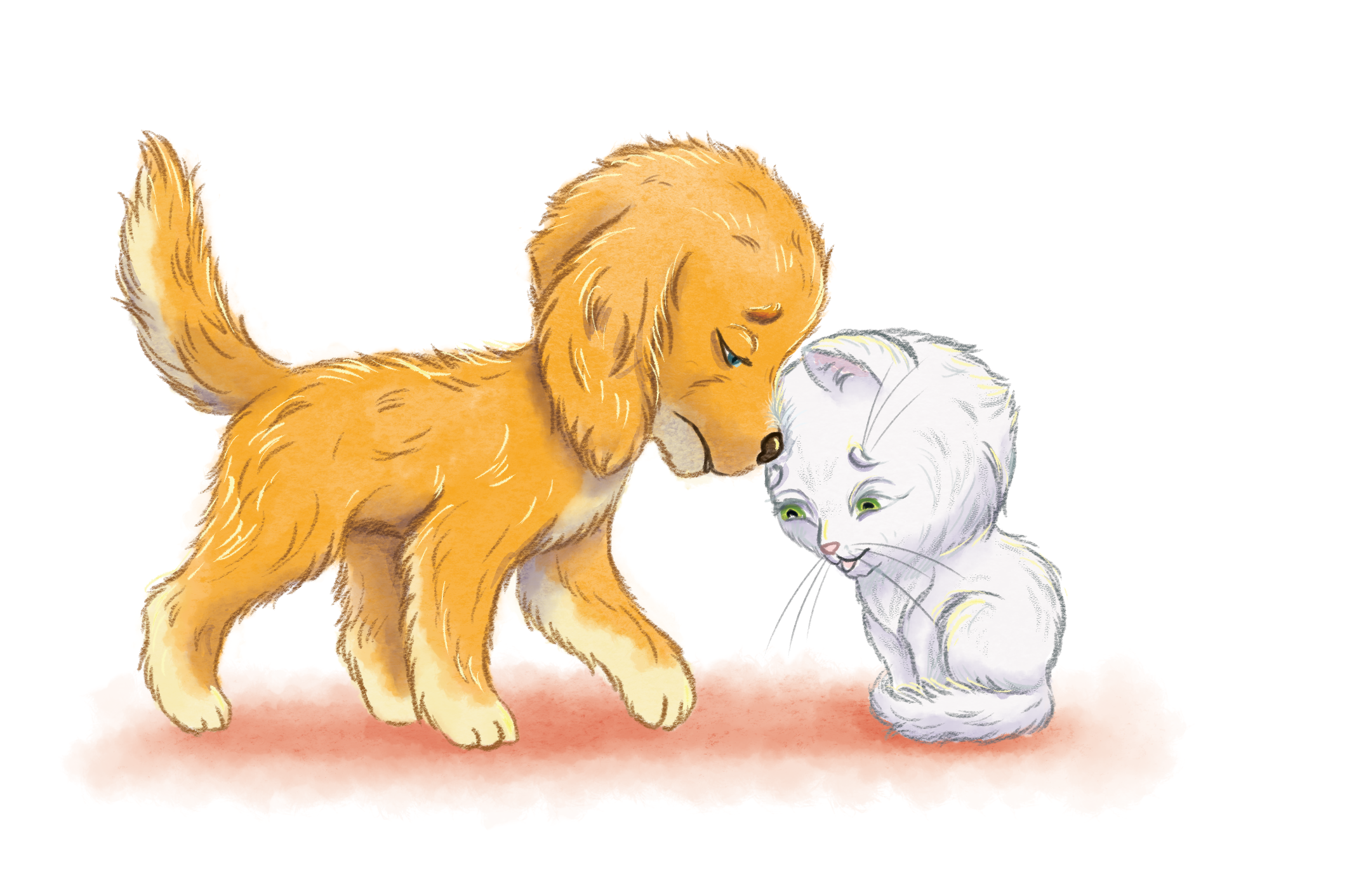 Пушок и Дружок