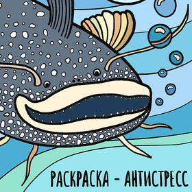 Обложка для раскраски