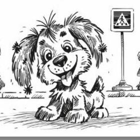 Разыскивается щенок!