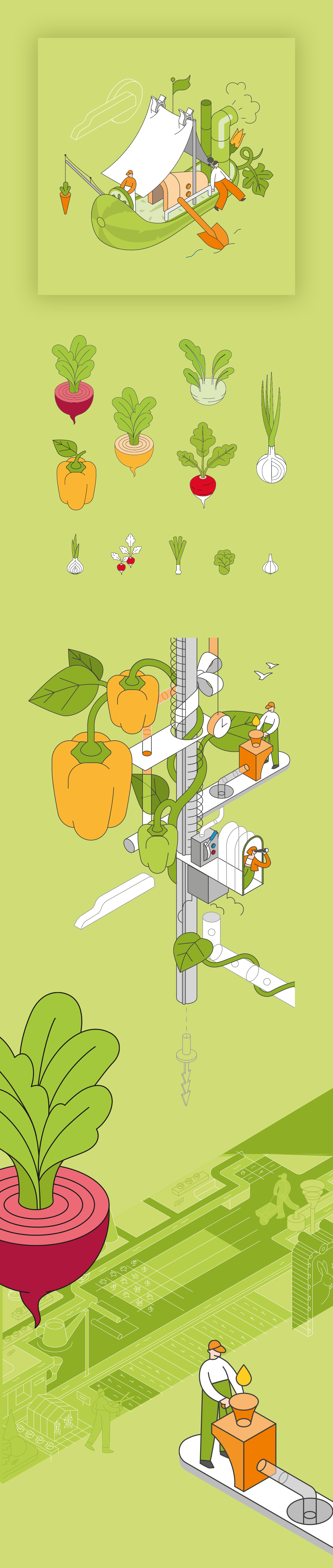 Овощные векторы для упаковочки