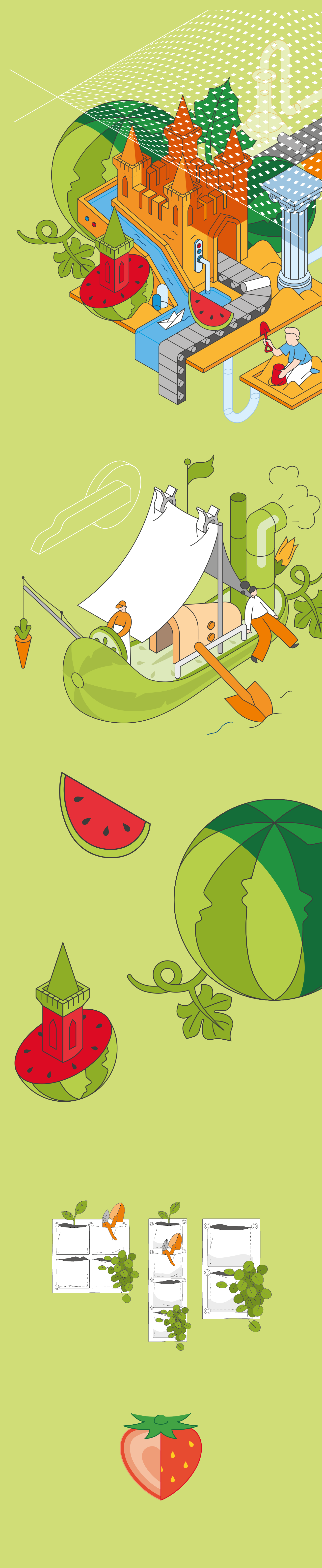 Овощные векторы для упаковочки