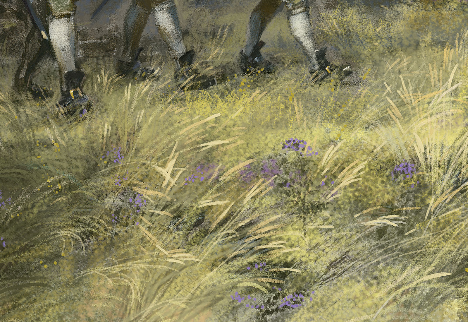 20250720 Испанская пехота