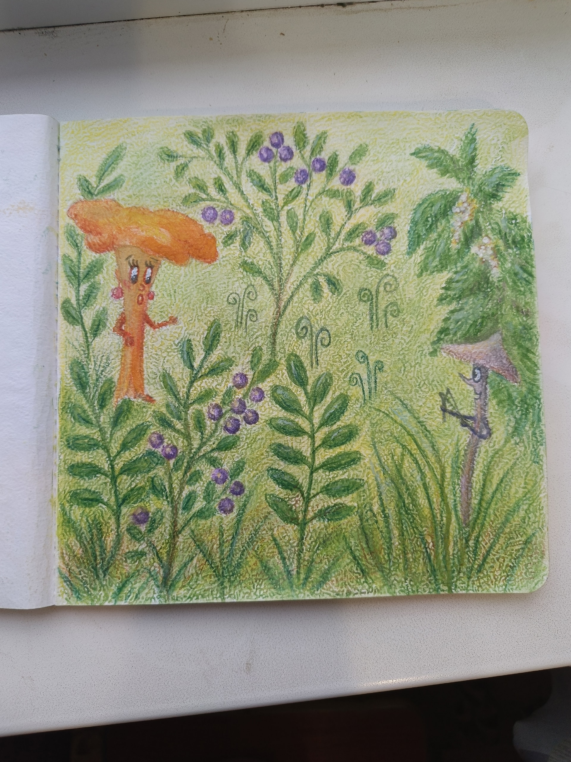 грибные истории