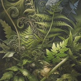 Папоротник 